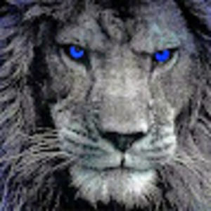 Meet your Posher, Tasha